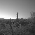 Webcam_20220507-051500