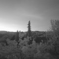 Webcam_20220515-050000