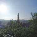 Webcam_20220517-080000
