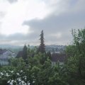 Webcam_20220517-084500