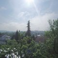 Webcam_20220517-100000