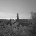 Webcam_20220519-050000