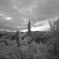 Webcam_20220521-050000