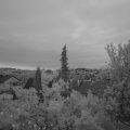 Webcam_20220526-050000