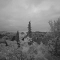 Webcam_20220527-050000
