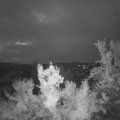 Webcam_20220818-053000