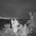 Webcam_20220820-053000