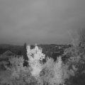 Webcam_20220827-060000