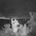 Webcam_20220830-053000