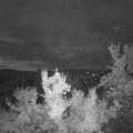 Webcam_20220831-054500