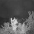 Webcam_20220901-051500