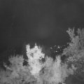 Webcam_20220908-060000