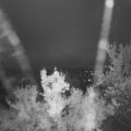 Webcam_20220910-061500