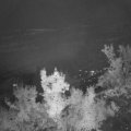 Webcam_20220914-201500