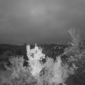 Webcam_20220918-063000