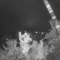 Webcam_20220920-204500