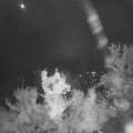 Webcam_20220921-051500
