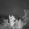 Webcam_20220921-201500