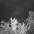 Webcam_20221007-054500