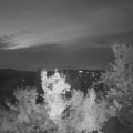 Webcam_20221008-064500