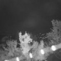 Webcam_20221012-053000