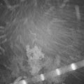 Webcam_20221013-064500