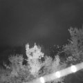 Webcam_20221015-054500