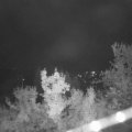 Webcam_20221017-051500