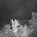Webcam_20221018-051500
