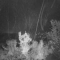 Webcam_20221018-061500