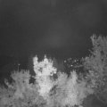Webcam_20221019-053000