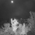 Webcam_20221020-051500