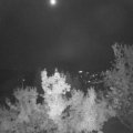 Webcam_20221020-053000