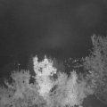 Webcam_20221023-051500