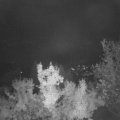 Webcam_20221024-060000