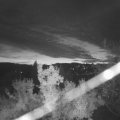 Webcam_20221029-071500