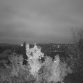 Webcam_20221101-064500