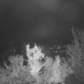 Webcam_20221102-054500