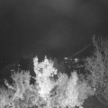 Webcam_20221103-204500