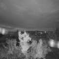 Webcam_20221106-173000