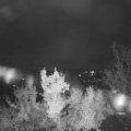 Webcam_20221106-210000