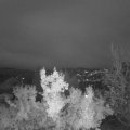 Webcam_20221109-064500