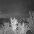 Webcam_20221110-193000