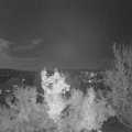 Webcam_20221110-194500