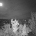 Webcam_20221110-204500