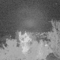 Webcam_20221112-183000
