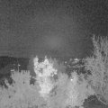 Webcam_20221112-203000