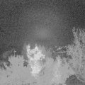 Webcam_20221113-053000