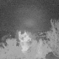 Webcam_20221113-054500