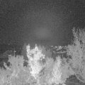 Webcam_20221113-180000